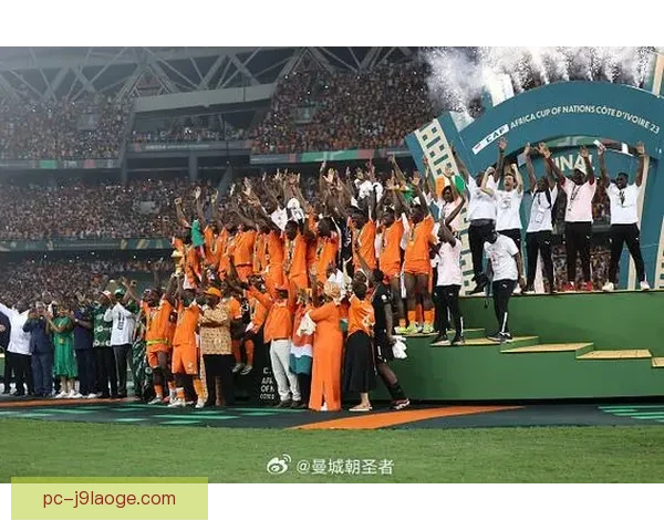 科特迪瓦上演奇迹逆转战胜加纳成功夺得非洲杯冠军 科特迪瓦上演奇迹逆转战胜加纳成功夺得非洲杯冠军